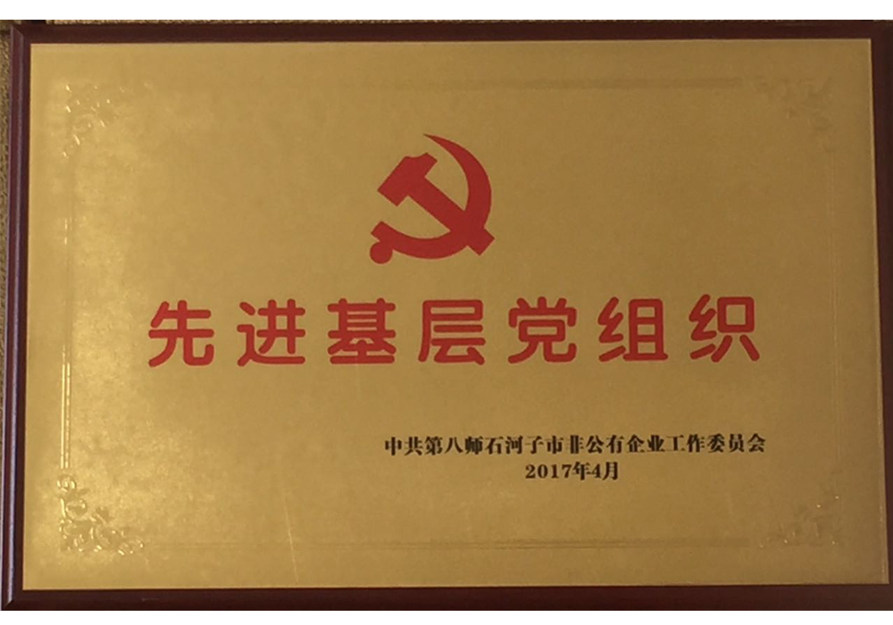 2017年度先进基层党组织